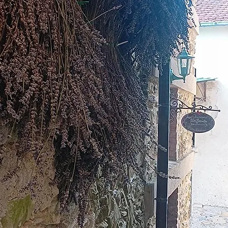 Lejlighed La Greciola *