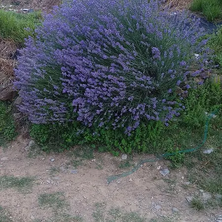 La Greciola Bagnone